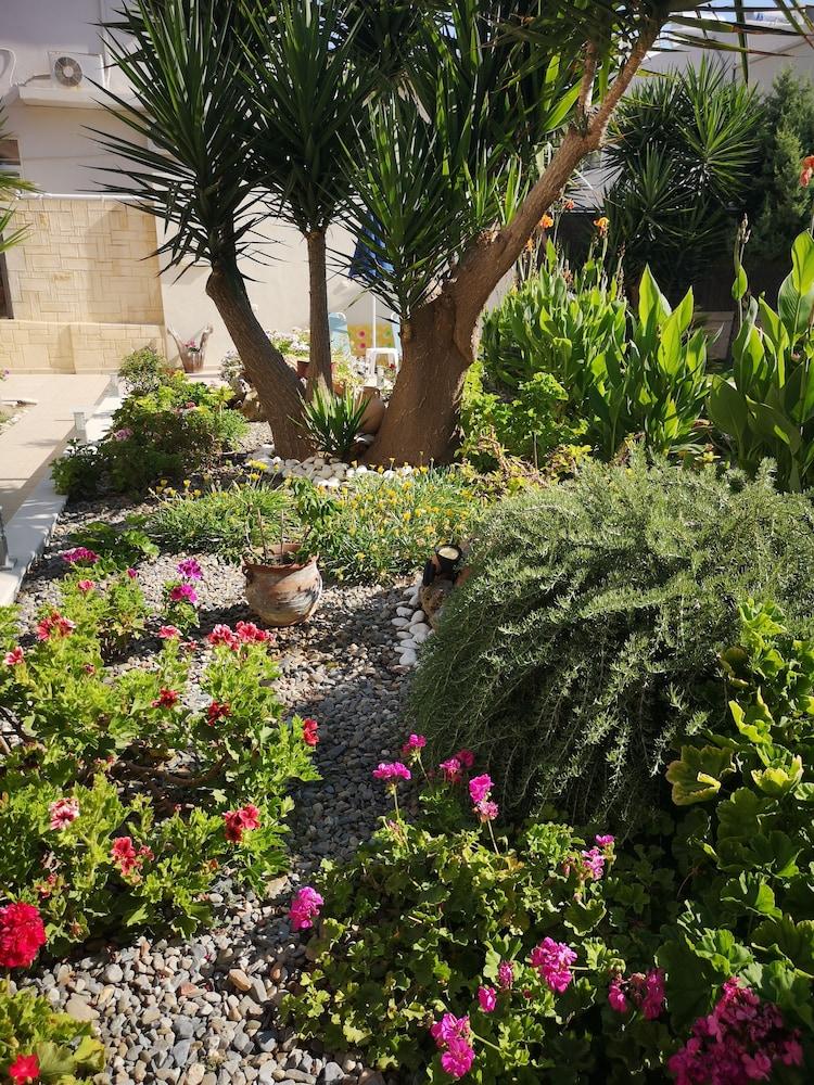 Nicolas Studios & Apartments Agia Marina  Exterior photo
